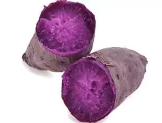 Top Quality Purple Sweet Potato Seedlings and Plants - Easy to Grow, Rich in Nutrients, 100% Guaranteed 4 Top Quality Purple Sweet Potato Seedlings and Plants - Easy to Grow, Rich in Nutrients, 100% Guaranteed - Image 4