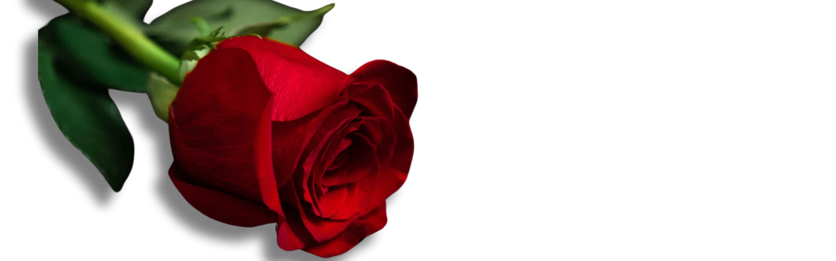 gardenvaly-thank-you-page-hero-image